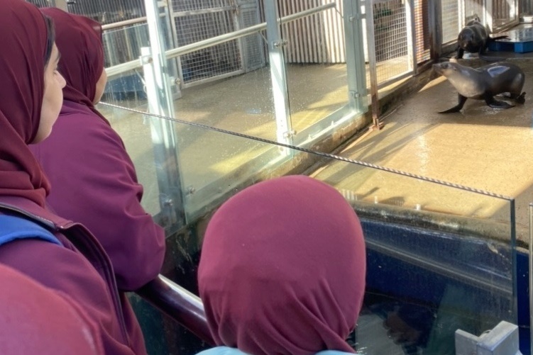 Year 5G: Melbourne Zoo Excursion